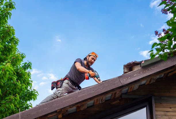 Best Roof Moss and Algae Removal  in East Gaffney, SC